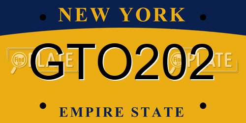 GTO202 New York License Plate