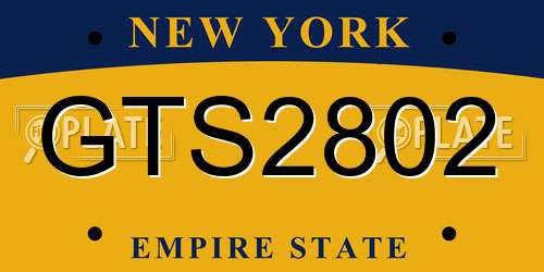 GTS2802 New York License Plate
