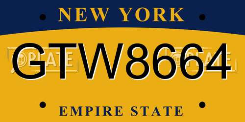 GTW8664 New York License Plate