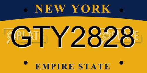GTY2828 New York License Plate