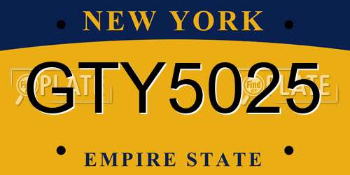 GTY5025 New York License Plate