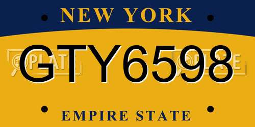 GTY6598 New York License Plate