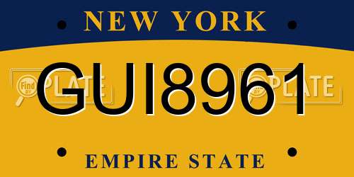 GUI8961 New York License Plate