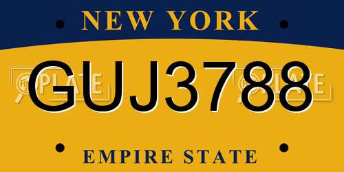 GUJ3788 New York License Plate