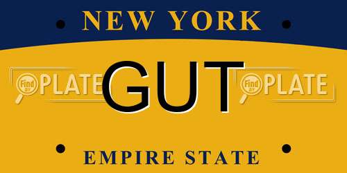 GUT New York License Plate