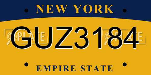 GUZ3184 New York License Plate