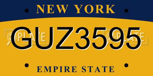 GUZ3595 New York License Plate