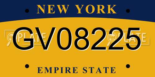 GV08225 New York License Plate