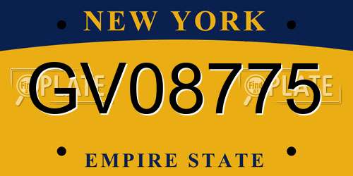 GV08775 New York License Plate