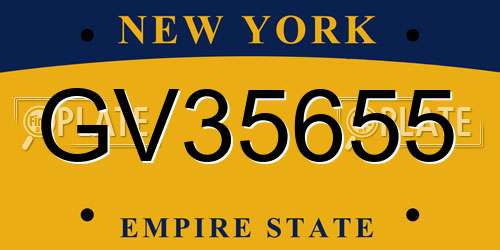 GV35655 New York License Plate