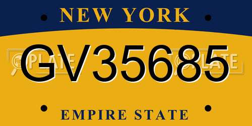 GV35685 New York License Plate