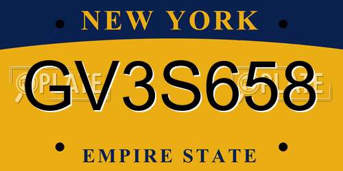 GV3S658 New York License Plate
