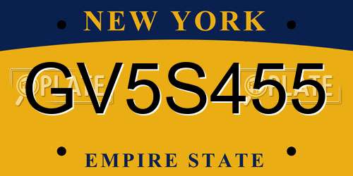 GV5S455 New York License Plate