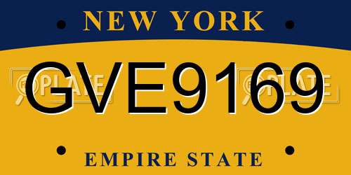 GVE9169 New York License Plate