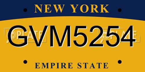 GVM5254 New York License Plate