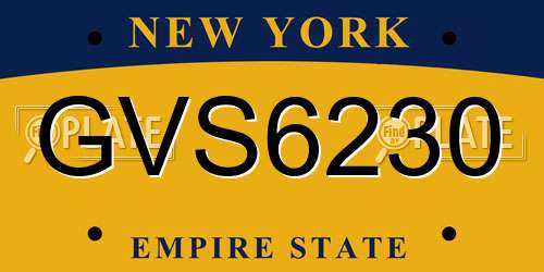 GVS6230 New York License Plate