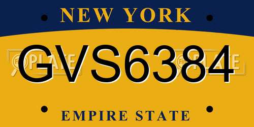GVS6384 New York License Plate