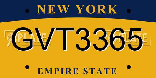 GVT3365 New York License Plate