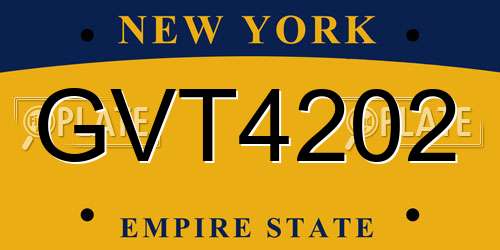 GVT4202 New York License Plate