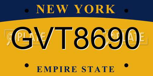 GVT8690 New York License Plate