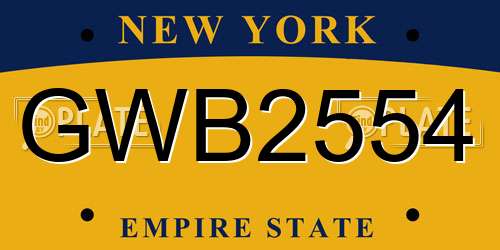 GWB2554 New York License Plate