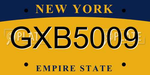 GXB5009 New York License Plate