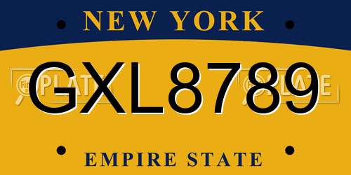 GXL8789 New York License Plate