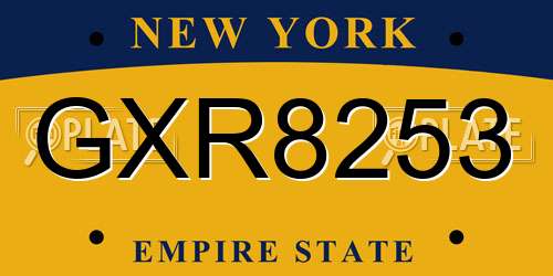 GXR8253 New York License Plate