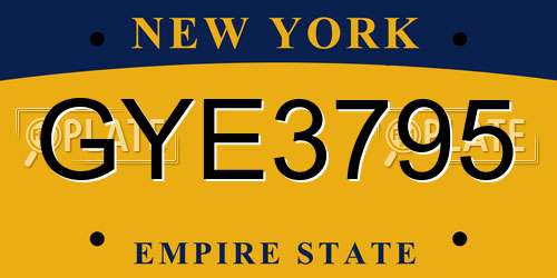 GYE3795 New York License Plate