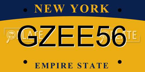 GZEE56 New York License Plate