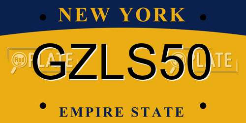 GZLS50 New York License Plate