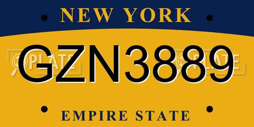 GZN3889 New York License Plate