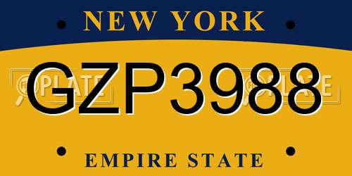 GZP3988 New York License Plate