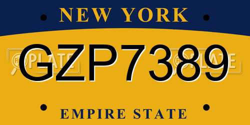 GZP7389 New York License Plate