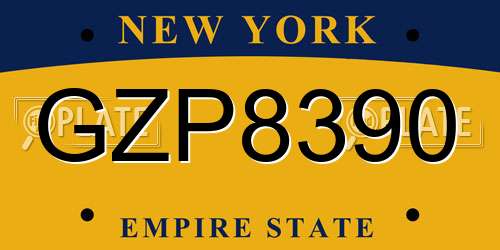 GZP8390 New York License Plate