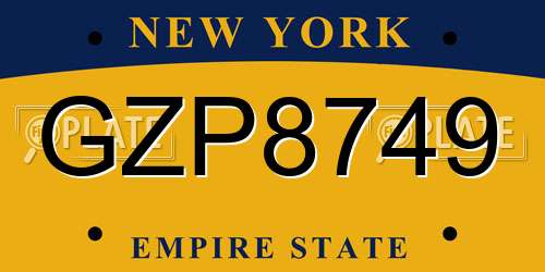 GZP8749 New York License Plate
