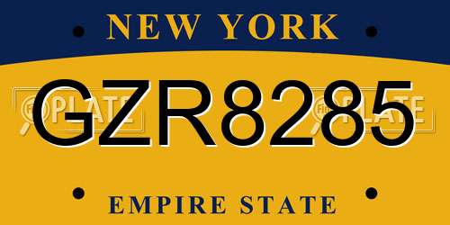 GZR8285 New York License Plate
