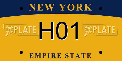 H01 New York License Plate