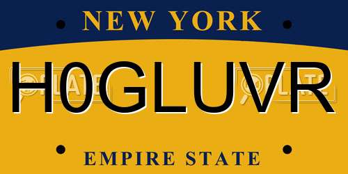 H0GLUVR New York License Plate