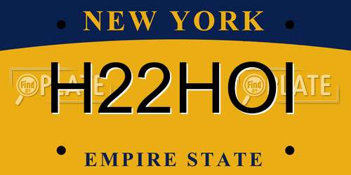 H22HOI New York License Plate