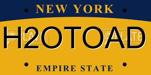 H2OTOAD New York License Plate