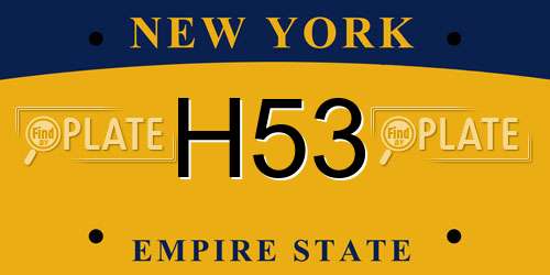 H53 New York License Plate