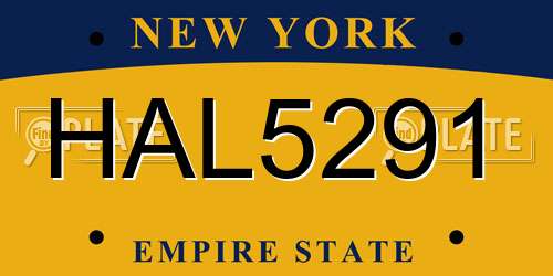 HAL5291 New York License Plate