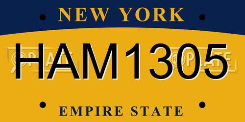 HAM1305 New York License Plate