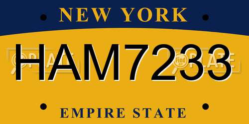 HAM7233 New York License Plate
