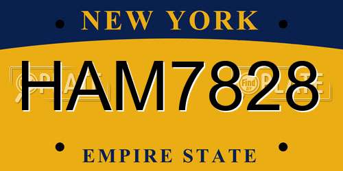HAM7828 New York License Plate