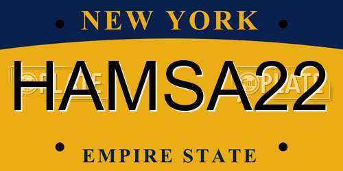HAMSA22 New York License Plate