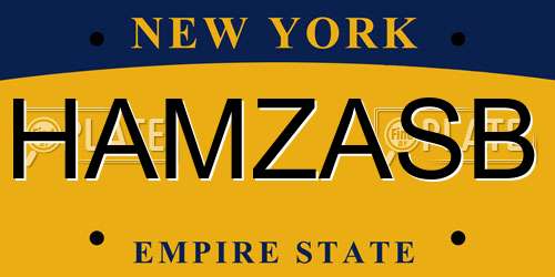 HAMZASB New York License Plate