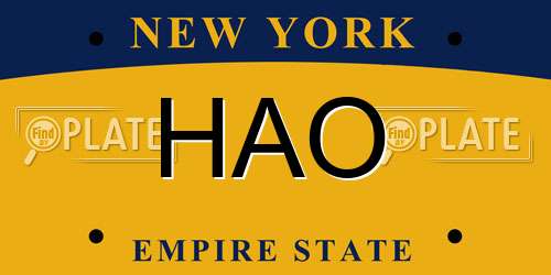 HAO New York License Plate