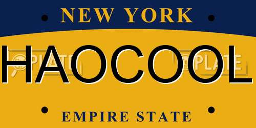 HAOCOOL New York License Plate